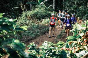 BIB: 
                            <button type="button" onclick="openModal(25853182)" class="btn btn-primary btn-sm float-right btn-popup" data-toggle="modal" data-target=".modal-high-quality">
                        <i class="fas fa-shopping-cart"></i> Add to Cart
                    </button>
                                            <button type="button" onclick="isThisMe(25853182, true)" class="btn btn-success btn-sm float-right btn-popup btn-isme hidden" data-toggle="tooltip" data-placement="bottom" title="นี่คือรูปของคุณใช่ไหม คลิกที่นี่เพื่อเอาเข้าอัลบั้ม">
                        <i class="fas fa-plus"></i> Add to album
                    </button>
                    <button type="button" onclick="isThisMe(25853182, false)" class="btn btn-warning btn-sm float-right btn-popup btn-isnotme hidden">
                        <i class="fas fa-ban"></i> Remove from album
                    </button>